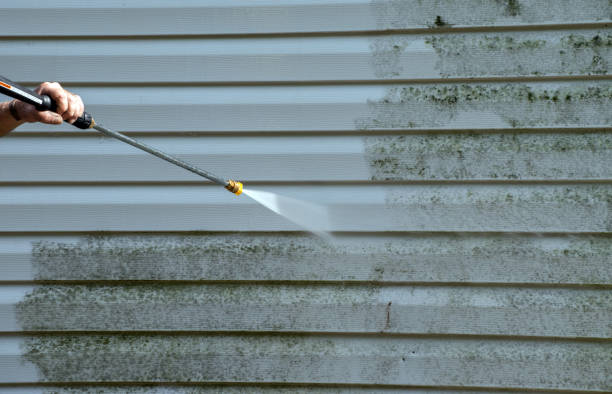 Best Deck Pressure Washing  in Waverly, NY
