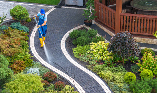 Best Residential Pressure Washing Services  in Waverly, NY